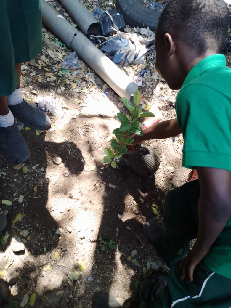 Medical Outreach — HIV, Malaria & TB Screening Gallery